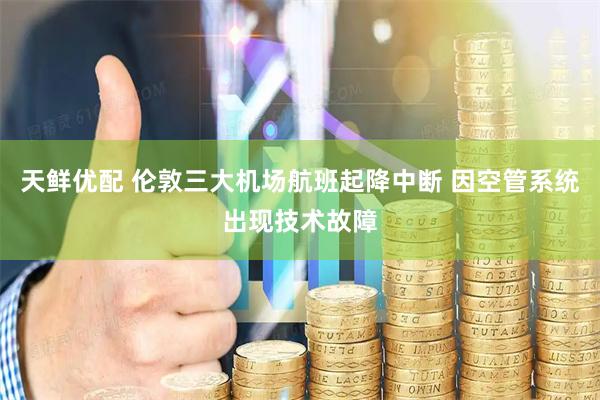 天鲜优配 伦敦三大机场航班起降中断 因空管系统出现技术故障