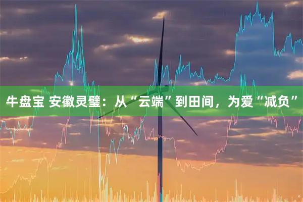 牛盘宝 安徽灵璧：从“云端”到田间，为爱“减负”