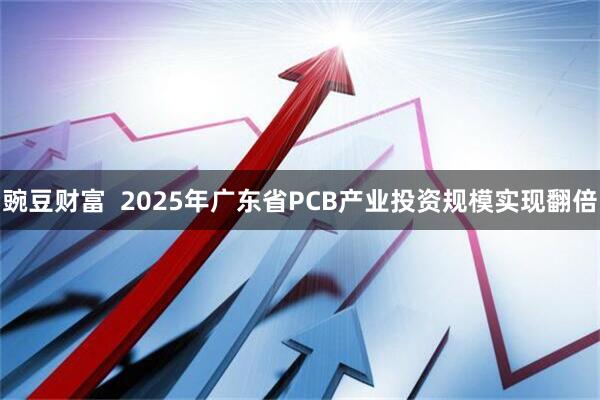 豌豆财富  2025年广东省PCB产业投资规模实现翻倍
