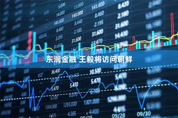 东润金融 王毅将访问朝鲜