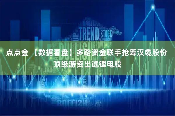 点点金 【数据看盘】多路资金联手抢筹汉缆股份 顶级游资出逃锂电股